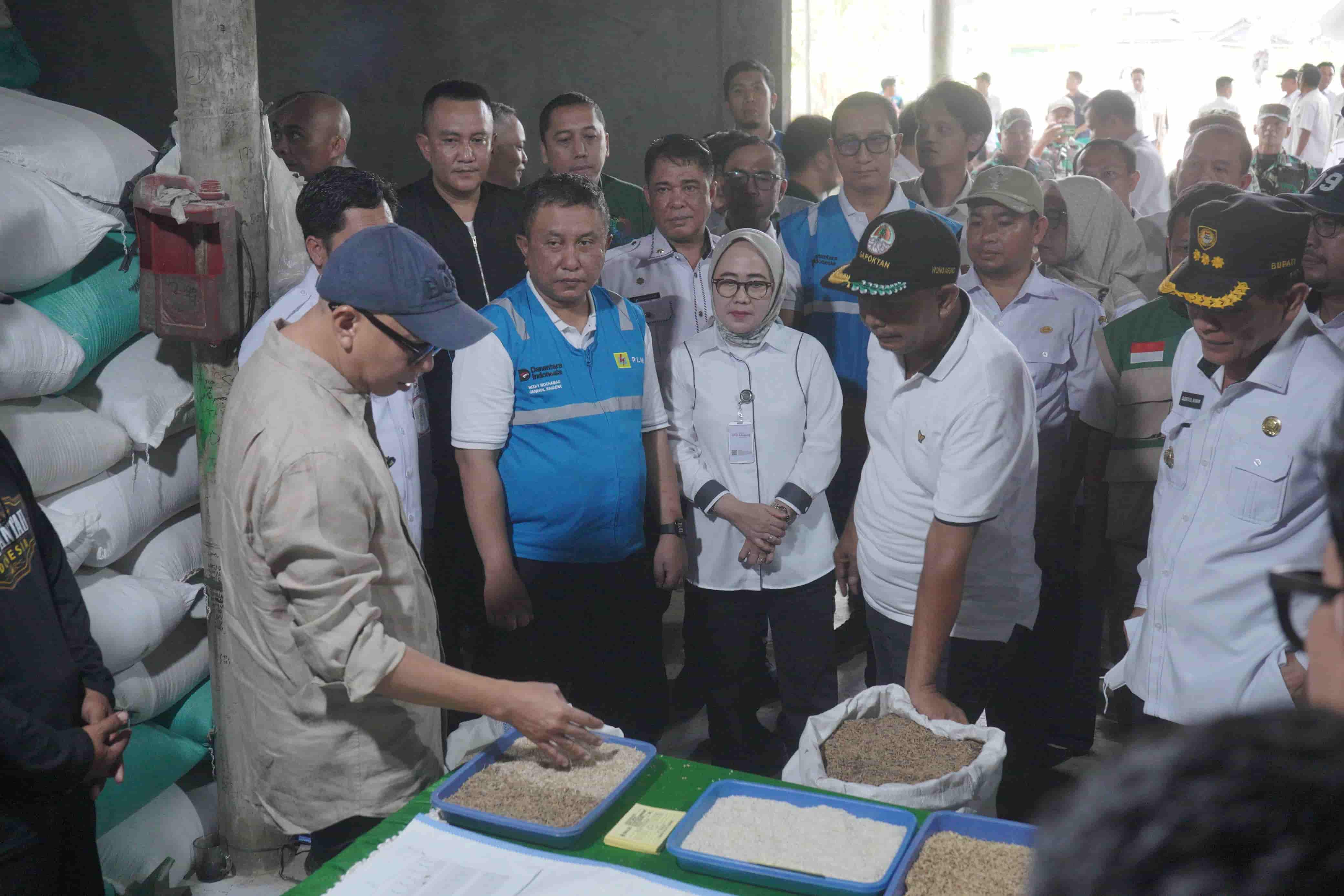 Dukung Program Desaku Maju, Bank Lampung Salurkan Kredit Alsintan