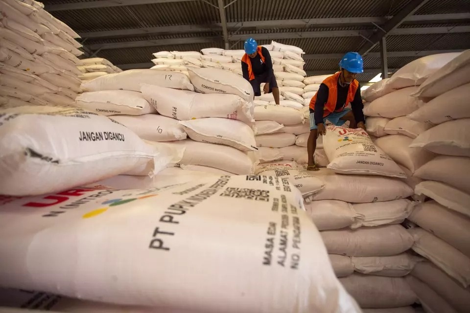 Pekerja menata pupuk bersubsidi di Gudang Lini 3 Jatibarang Pupuk Kujang, Indramayu, Jawa Barat, Kamis, 16 Oktober 2025.