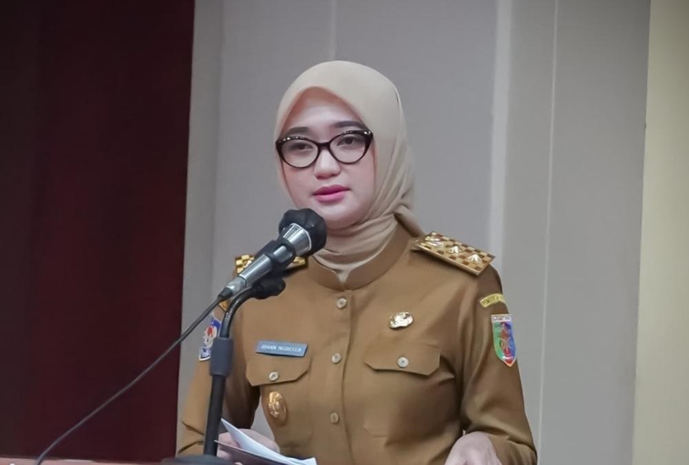 Banyak Temuan, Pemprov Evaluasi Program OPD