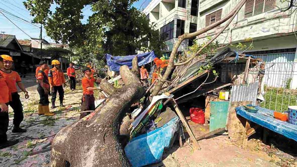 Pohon Kedondong Hutan Tumbang Timpa Warung Pecel dan Tutup Jalan di Bumi Waras