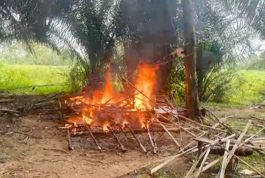 Polisi Bakar Gubuk Jadi Tempat Transaksi dan Pesta Narkoba