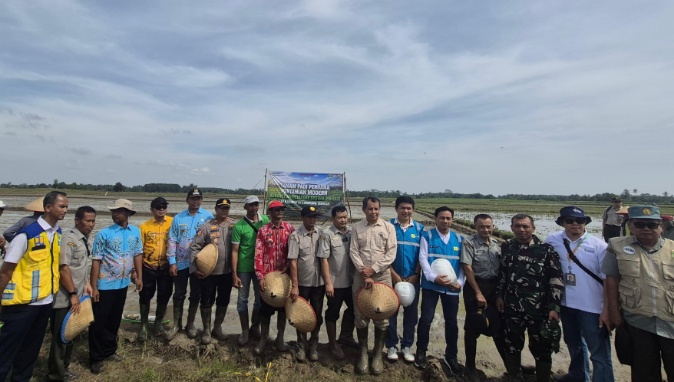 Akselerasi Ketahanan Pangan Daerah, PLN Hadirkan Listrik Andal untuk Pertanian Modern