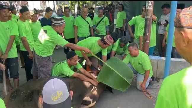 Panitia Kurban Masjid Nurul Hidayah Potong 26 Hewan Kurban