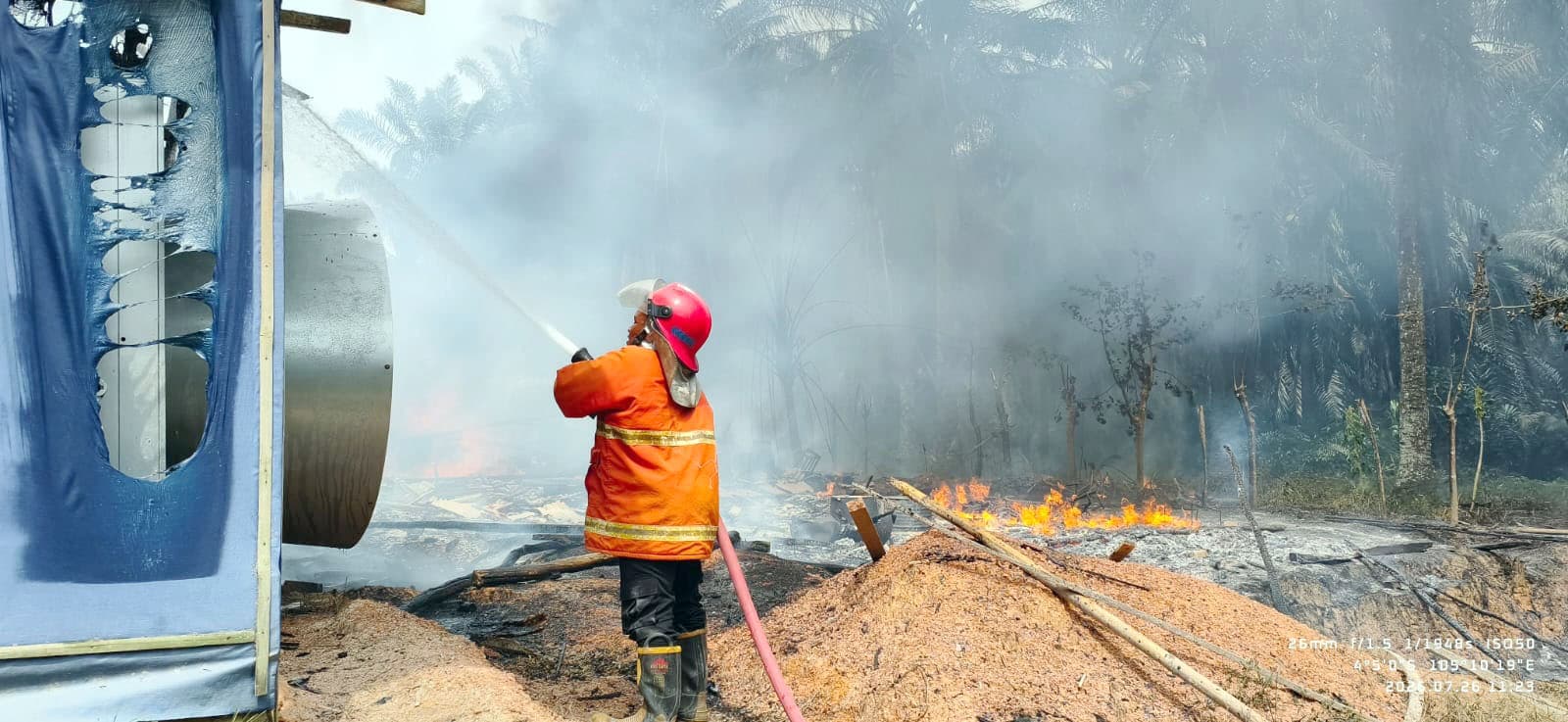Kandang Ayam di Mesuji Terbakar, Kerugian Capai Rp350 Juta