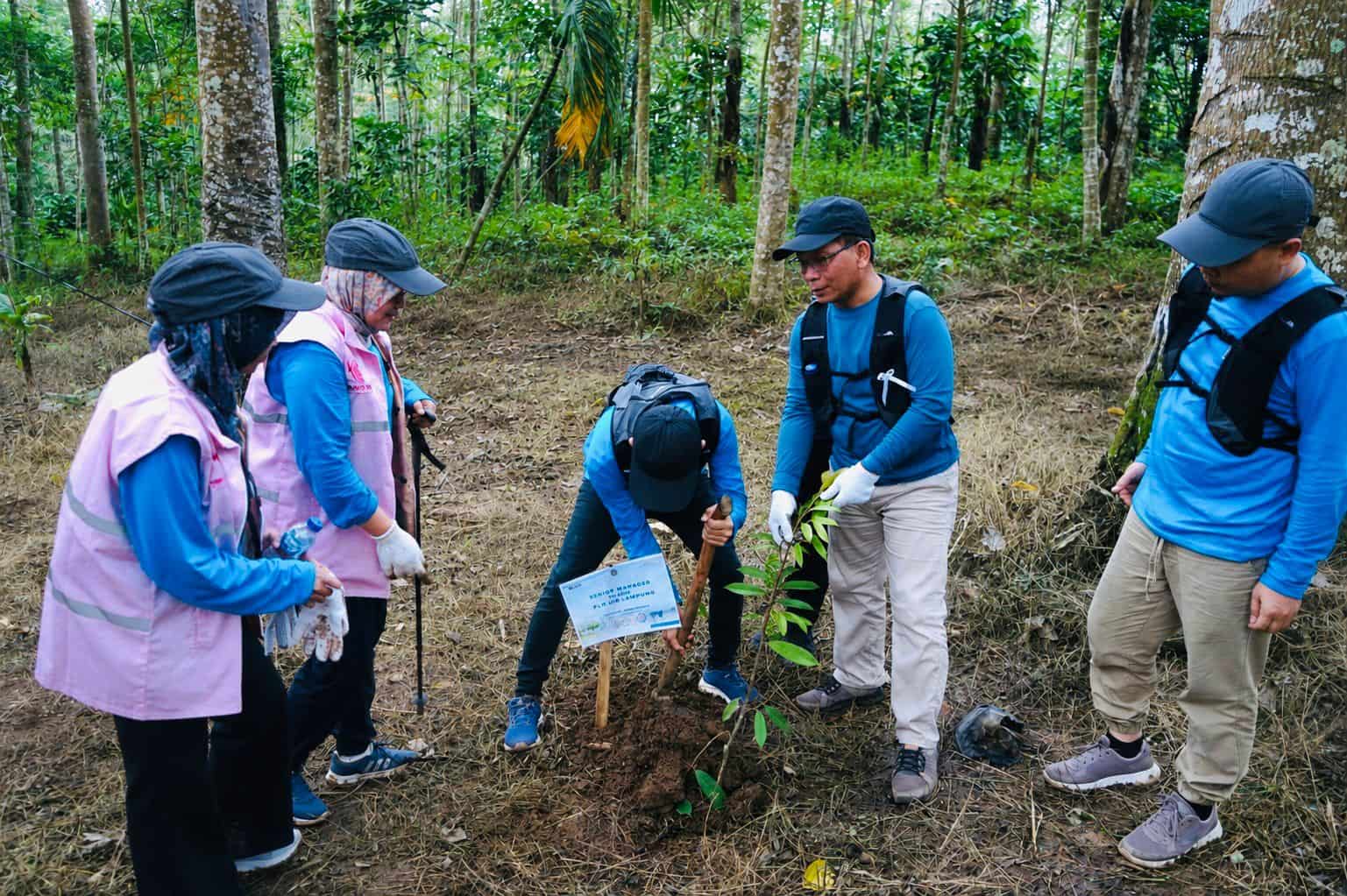 PLN UID Lampung Peringati Hari Lingkungan Hidup Sedunia dengan Aksi Penanaman Pohon untuk Masa Depan Berkelanjutan