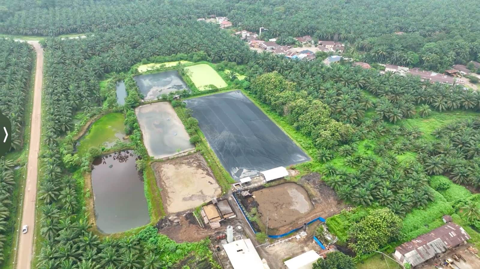 Dua PLTBg Jadi Senjata PalmCo Tekan Biaya Energi di Tengah Gejolak Global