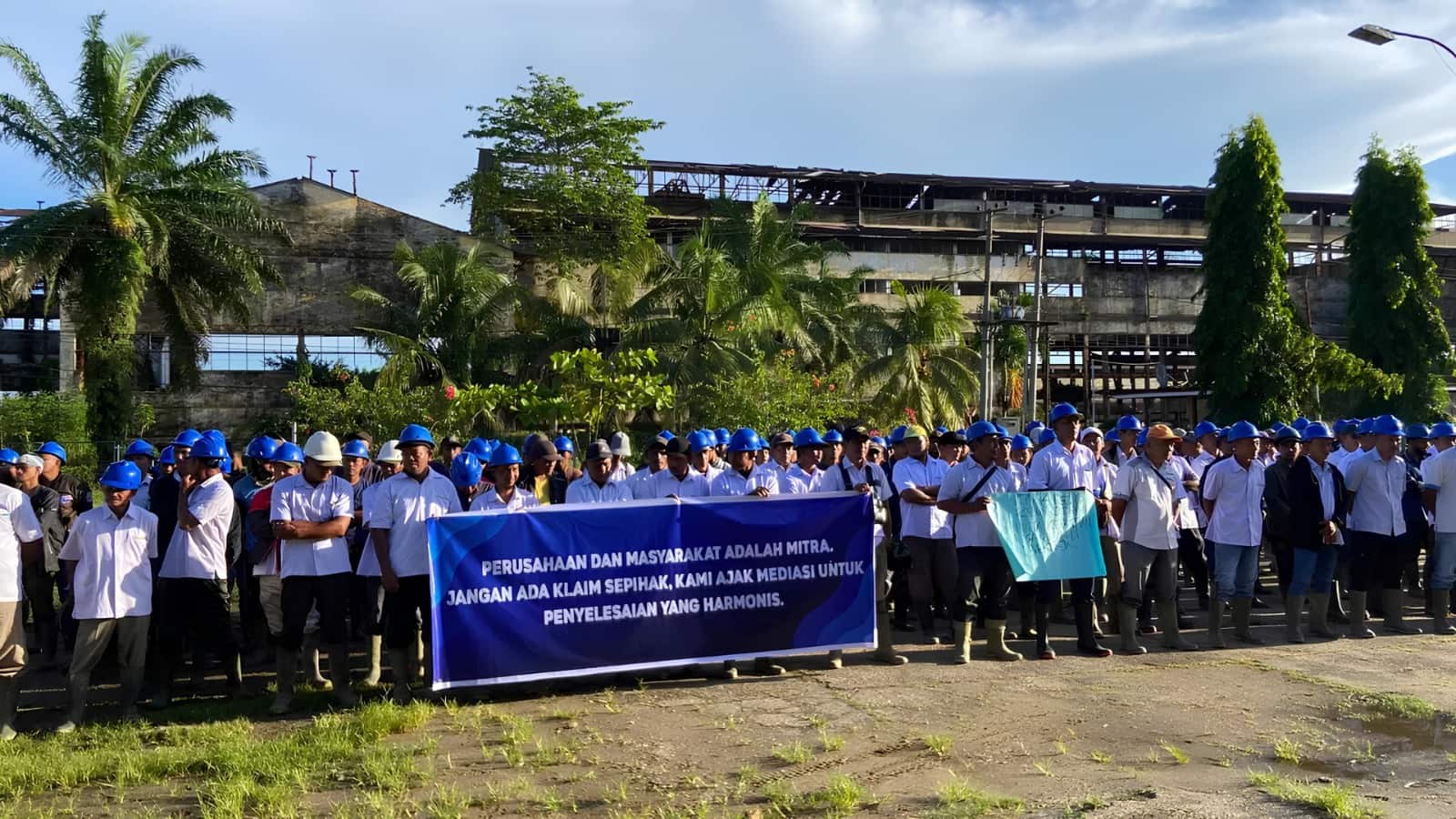 Okupasi dan Penjarahan Kebun Cot Girek Berlarut, 2.400 Pekerja Kehilangan Sumber Penghasilan