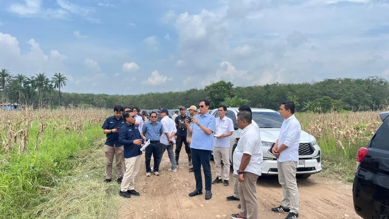 PTPN Siapkan 10.000 Hektare Lahan untuk Pengembangan Bioetanol Berbasis Singkong