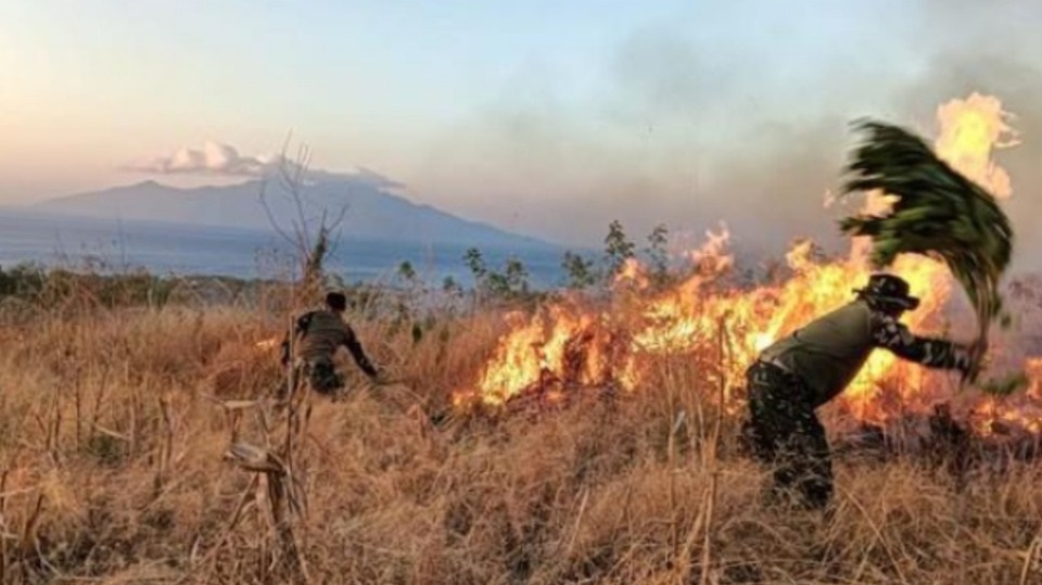 Lampung Siaga El Nino,  Risiko Karhutla Diprediksi Meningkat