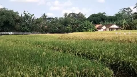Hilirisasi Pertanian dan Perikanan Akan Dikembangkan di 13 Wilayah