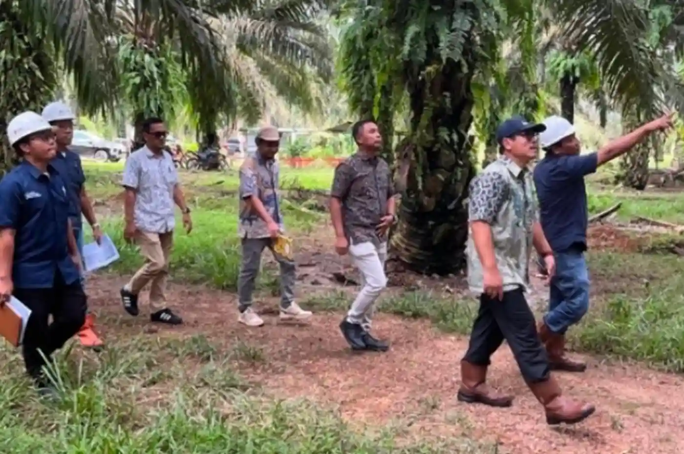 Perkuat Pengawasan, PTPN IV Regional VII Dorong Produktivitas Kebun