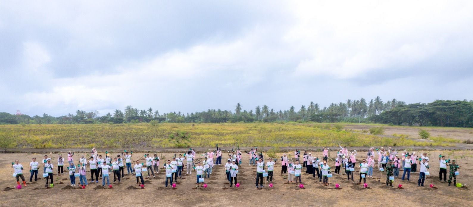 Hari Menanam Pohon Indonesia 2025, PLN Group Provinsi Lampung Tanam Seribu Pohon Energi