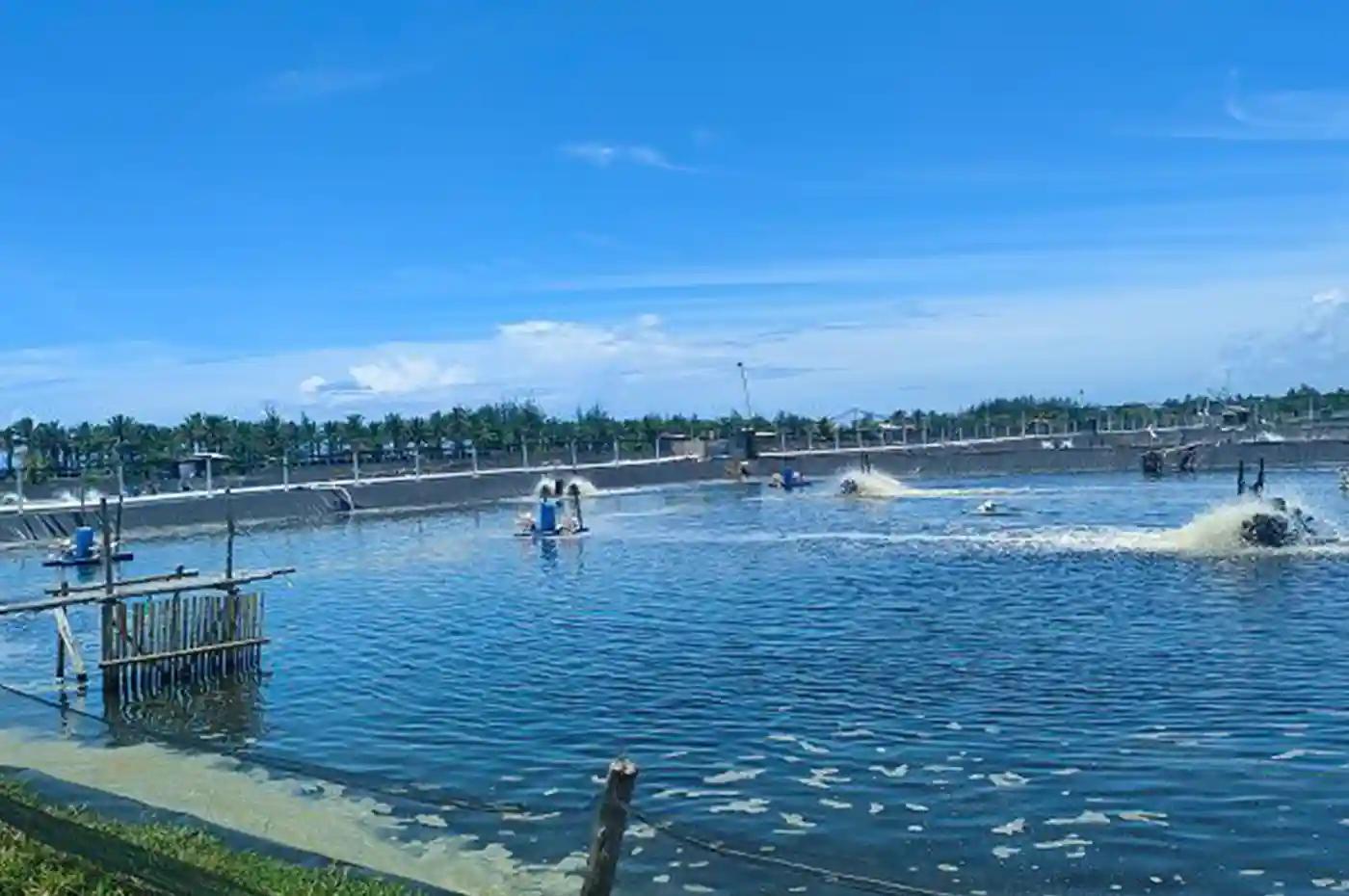 Energi listrik andal menjadi fondasi tumbuhnya sektor produktif, termasuk tambak penopang ekonomi masyarakat. Melalui RJP 2025–2029, PLN UID Lampung berkomitmen menghadirkan pasokan listrik stabil guna mendukung usaha dan meningkatkan kesejahteraan.